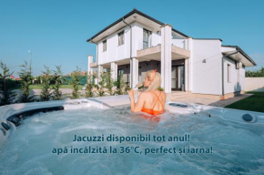 Sînmartin